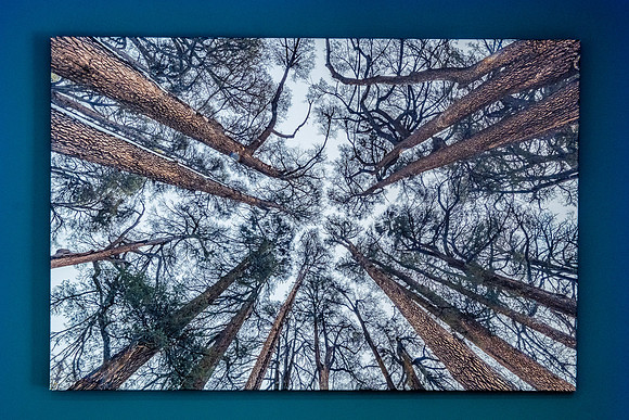 00065