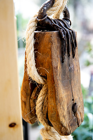 0054MSD_7566